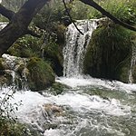 Photo taken by Karen Z