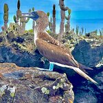 Photo taken by Katherine A