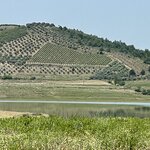 Photo taken by Christine R