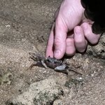 Photo taken by Bailey W