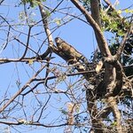 Photo taken by ted m