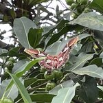 Photo taken by Kate R