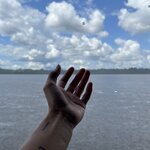 Photo taken by Breann B