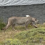 Photo taken by Sandra B