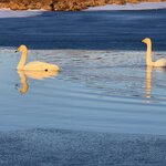 Photo taken by Laurel W