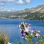 Photo taken by Julie M