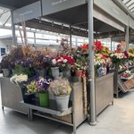 Photo taken by Julie G