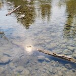 Photo taken by Jose R