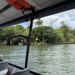 Photo taken by Joyce C