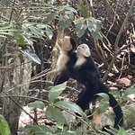 Photo taken by Cathy T