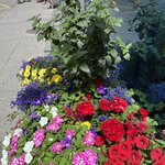 Photo taken by Tommy B