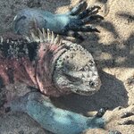 Photo taken by Jonkeeta L