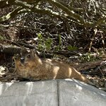 Photo taken by Christopher F