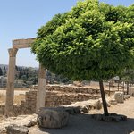 Photo taken by Veronique B