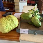 Kitron - "Offspring of a lemon and a Jack-fruit" | Photo taken by David C