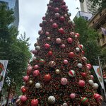 Photo taken by Sean M