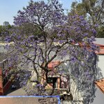 Photo taken by Katherine J