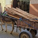 Photo taken by Shelley H