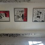 Photo taken by Nicole W