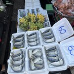 Photo taken by Fuad A