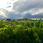 Photo taken by Andrés V