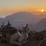 Photo taken by Maryann S