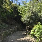 Photo taken by Victoria P