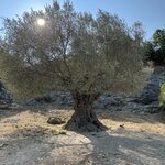 Photo taken by Susan S