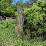 Photo taken by Jennifer A