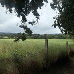 Photo taken by Nicki S