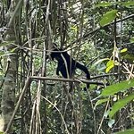 Photo taken by Kate R