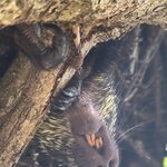 Photo taken by Morton A