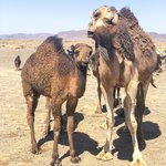 Photo taken by Kristy T