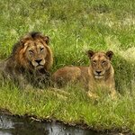 Photo taken by Michael Z