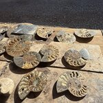 Photo taken by Pam L