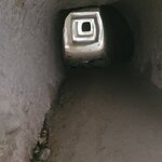 Photo taken by SHOSHANA S