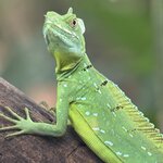 Photo taken by Sarah C