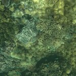 Photo taken by Julie H