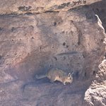 Photo taken by alton r