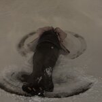 Photo taken by Lisa T