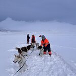 Photo taken by Sandra D