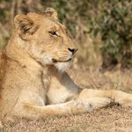 Photo taken by Hari R