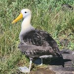 Photo taken by Lee B