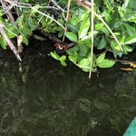 Photo taken by Juliette S