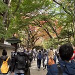 Photo taken by Adrian D