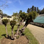 Photo taken by Frank S