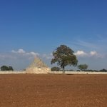 Photo taken by Richard F