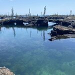 Photo taken by Nicole S