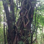 Photo taken by Sarah R