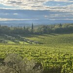 Photo taken by Mary H